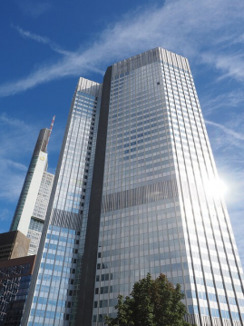 Die Schimmelbeseitigung Frankfurt entfernt auch Ihren Schimmel!