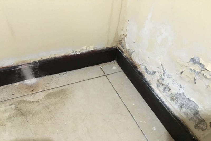 schimmel_wand_frankfurt_schimmelnotdienst_sanierung.jpg